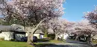 12926 19 AVENUE - thumbnail 39