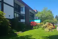 210 1521 BLACKWOOD STREET - thumbnail 3