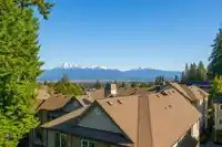 507 2855 156 STREET - thumbnail 31