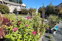 507 2855 156 STREET - thumbnail 32