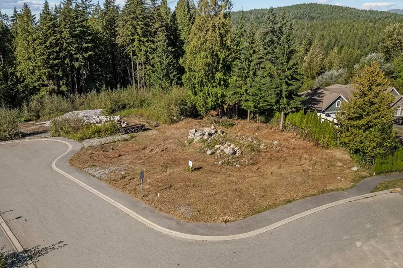 3132 CHESTNUT COURT - photo 4 of 20