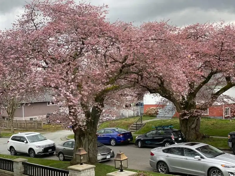 3653 E 25TH AVENUE - photo 1 of 1