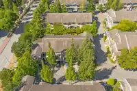 34 15233 34 AVENUE - thumbnail 32