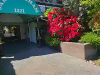 111 1521 BLACKWOOD STREET - thumbnail 1