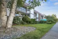 111 1521 BLACKWOOD STREET - thumbnail 19