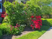 111 1521 BLACKWOOD STREET - thumbnail 22