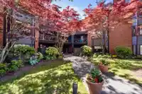 313 15300 17 AVENUE - thumbnail 1