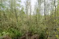302 15436 31 AVENUE - thumbnail 6