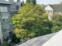 402 15558 16A AVENUE - thumbnail 9
