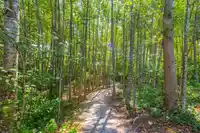 320 15436 31 AVENUE - thumbnail 34