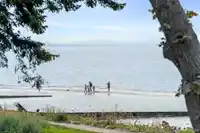 2824 O'HARA LANE - thumbnail 31