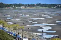 312 15875 MARINE DRIVE - thumbnail 35