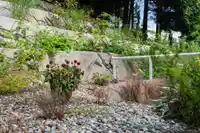 209 15025 VICTORIA AVENUE - thumbnail 23