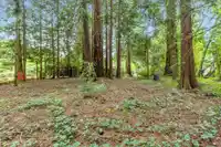 12587 23 AVENUE - thumbnail 26