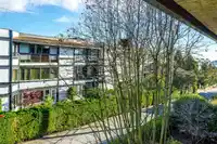 310 1368 FOSTER STREET - thumbnail 29
