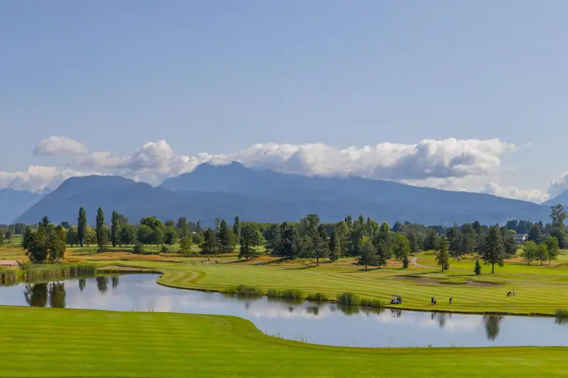 429 19677 MEADOW GARDENS WAY - photo 1 of 25