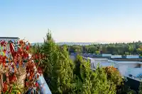 197 2277 OAK MEADOWS DRIVE - thumbnail 33