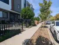 40 1639 162 STREET - thumbnail 2