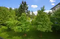 75 15665 MOUNTAIN VIEW DRIVE - thumbnail 11