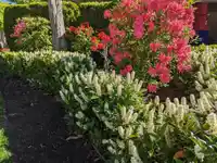 4 15168 22 AVENUE - thumbnail 33