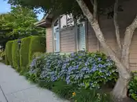 4 15168 22 AVENUE - thumbnail 35