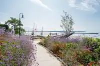 15645 PACIFIC AVENUE - thumbnail 36