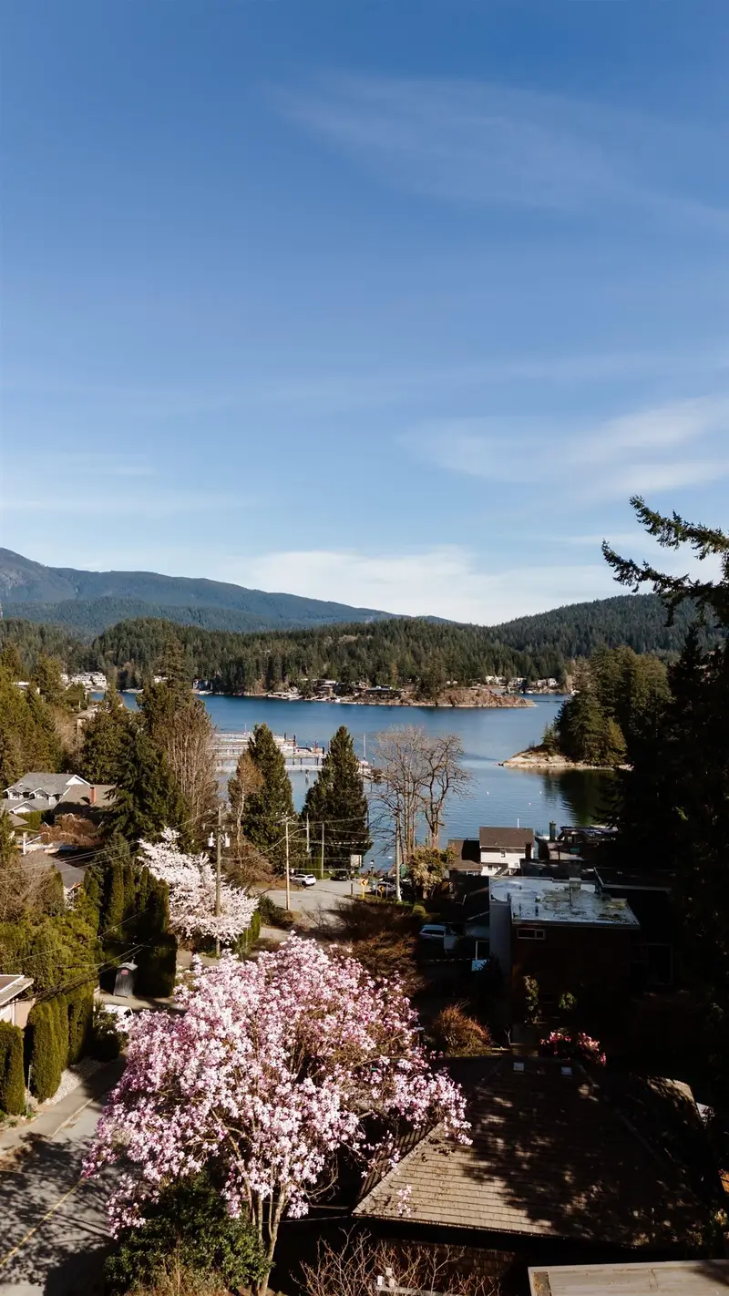 4477 STRATHCONA ROAD - photo 3 of 25