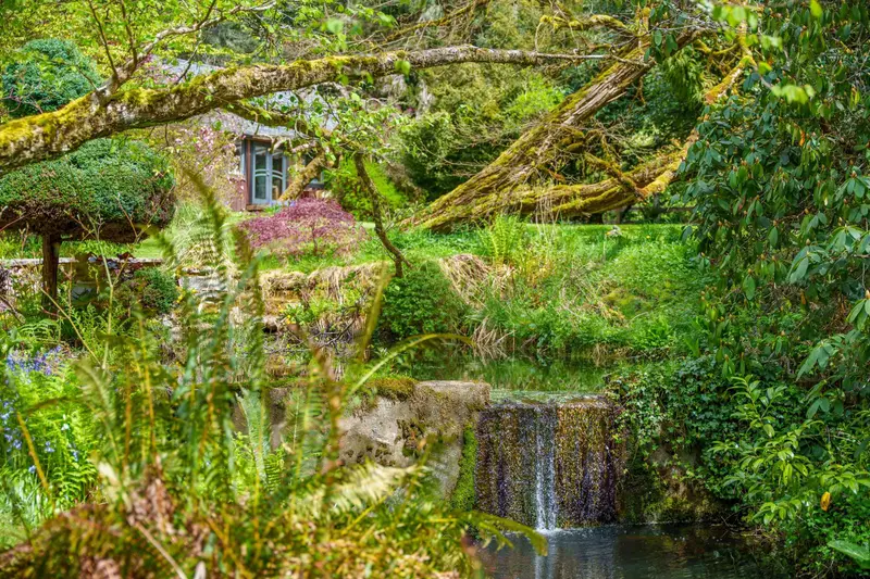 1531 LOCKYER ROAD - photo 4 of 25