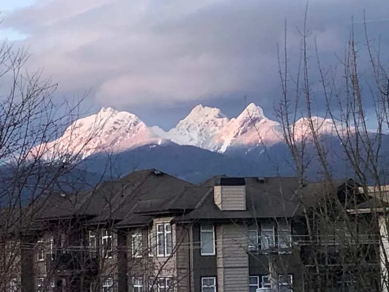 410 12207 224 STREET - photo 2 of 25