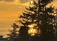 309 1355 WINTER STREET - thumbnail 21