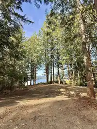 201 7101 SAKINAW WOODS DRIVE - thumbnail 31