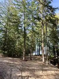 201 7101 SAKINAW WOODS DRIVE - thumbnail 32