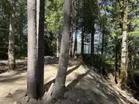 201 7101 SAKINAW WOODS DRIVE - thumbnail 36