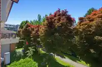 204 15357 17A AVENUE - thumbnail 23