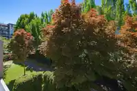 204 15357 17A AVENUE - thumbnail 32