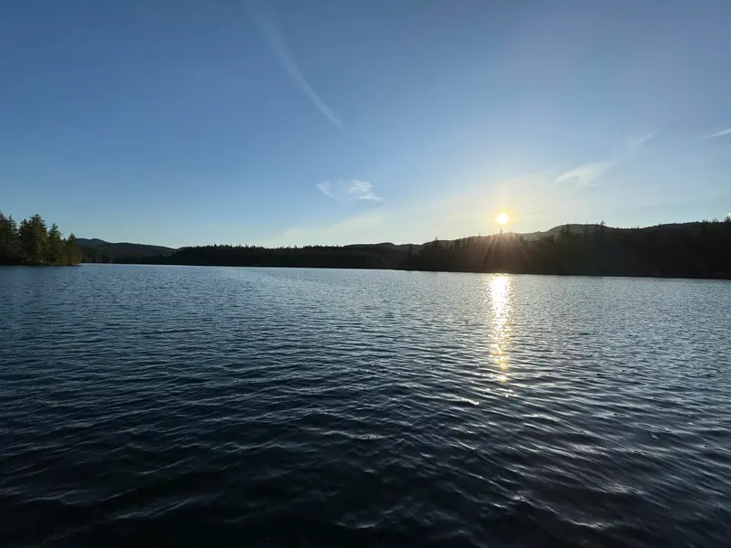 15133 COWELL ROAD - photo 2 of 25