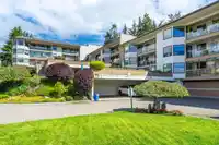 102 1350 VIDAL STREET - thumbnail 38