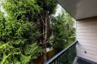 219 1442 BLACKWOOD STREET - thumbnail 32