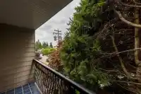 219 1442 BLACKWOOD STREET - thumbnail 33