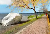 15869 YORKSHIRE PLACE - thumbnail 30