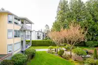 200 1459 BLACKWOOD STREET - thumbnail 27