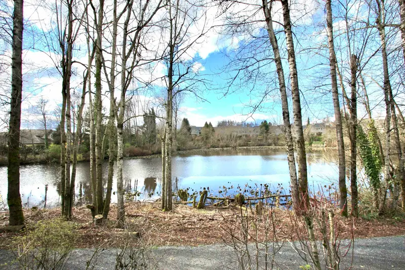 8 31501 UPPER MACLURE ROAD - photo 3 of 25