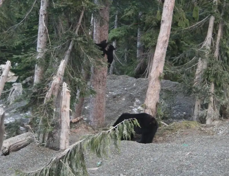 1 46891 SAWKI CREEK ROAD - photo 4 of 25