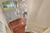 16038 MORGAN CREEK CRESCENT - thumbnail 10