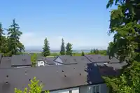 93 15833 26 AVENUE - thumbnail 26