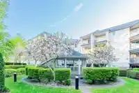 203 1588 BEST STREET - thumbnail 36