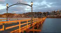 964 161A STREET - thumbnail 31