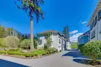 19 253 171 STREET - thumbnail 36