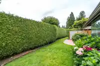 1 1854 SOUTHMERE CRESCENT - thumbnail 37