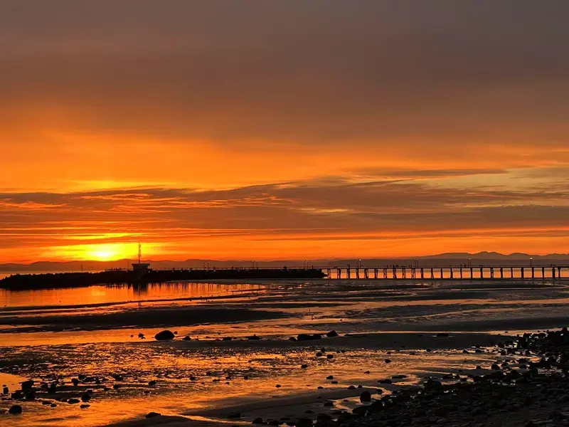 1309 ANDERSON STREET - photo 1 of 2